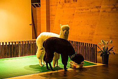 《最后的生还者》真人剧成2023年盗版最多的电视剧